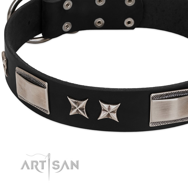 Top rate leather dog collar with durable traditional buckle