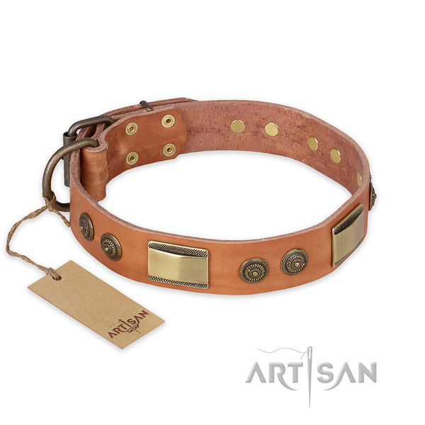 Awesome full grain leather dog collar for stylish walking