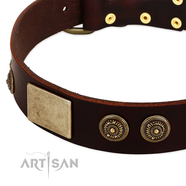 Durable traditional buckle on full grain natural leather dog collar for your doggie