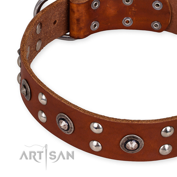 Genuine leather collar with corrosion proof D-ring for your stylish canine