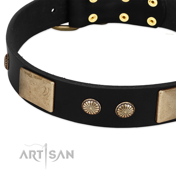 Full grain leather dog collar with adornments for daily walking