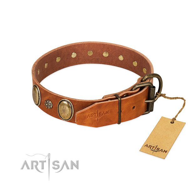Everyday use quality full grain natural leather dog collar