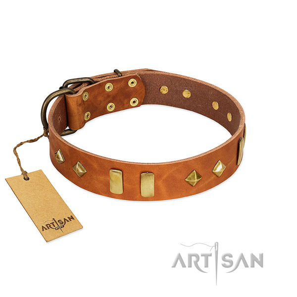 Daily walking gentle to touch genuine leather dog collar with embellishments
