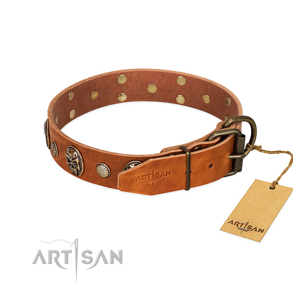 Durable buckle on full grain genuine leather collar for basic training your doggie