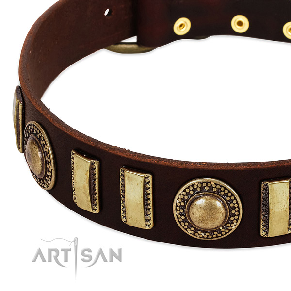 Quality full grain leather dog collar with durable buckle
