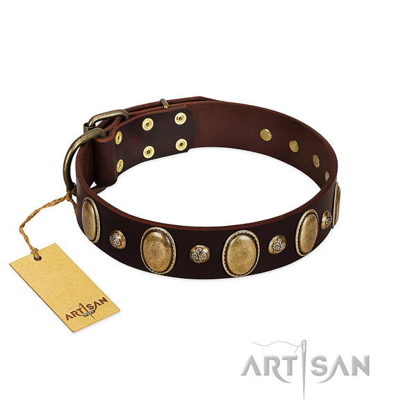Natural leather dog collar of top notch material with trendy decorations