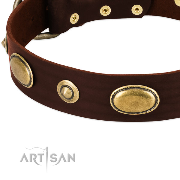 Rust resistant embellishments on leather dog collar for your doggie