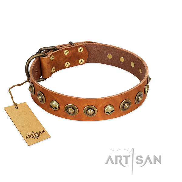 Full grain natural leather collar with fashionable embellishments for your four-legged friend