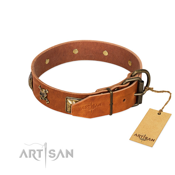 Awesome leather dog collar with rust resistant decorations