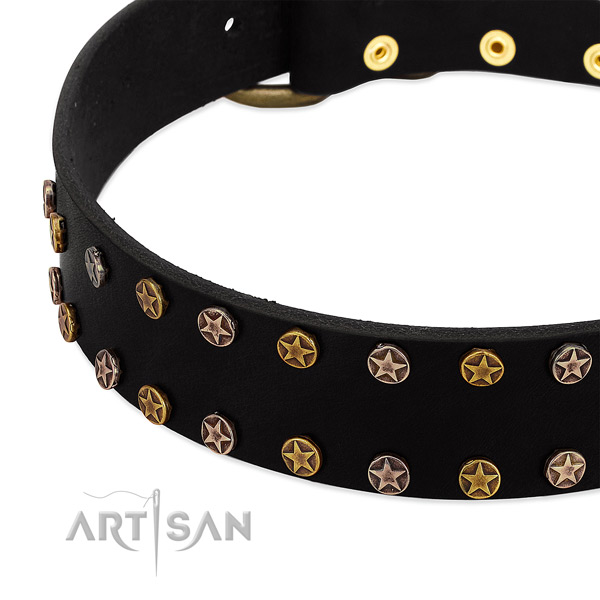 Exceptional studs on genuine leather collar for your doggie