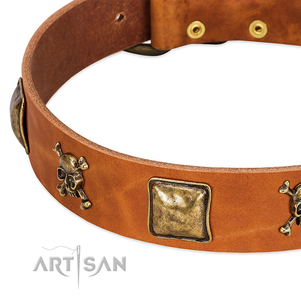 Stunning adornments on natural leather collar for your four-legged friend