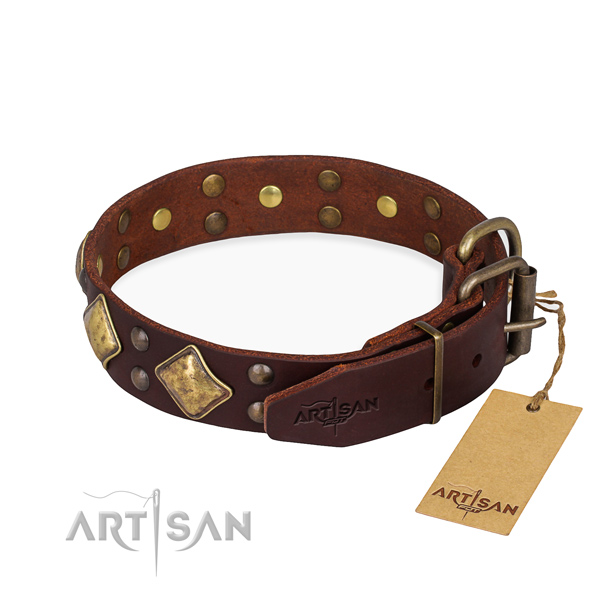 Full grain genuine leather dog collar with trendy rust resistant adornments