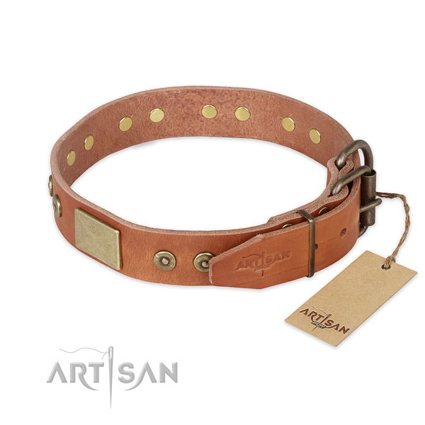 Corrosion proof D-ring on full grain leather collar for stylish walking your dog