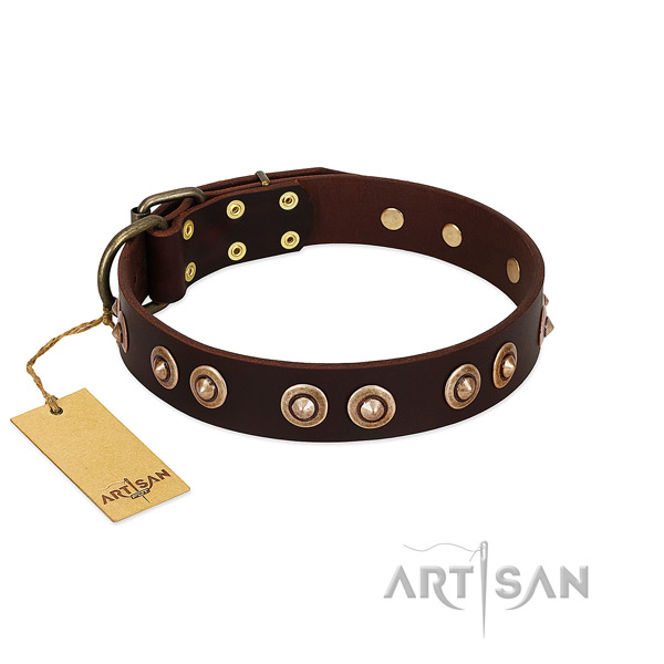 Durable decorations on full grain leather dog collar for your dog