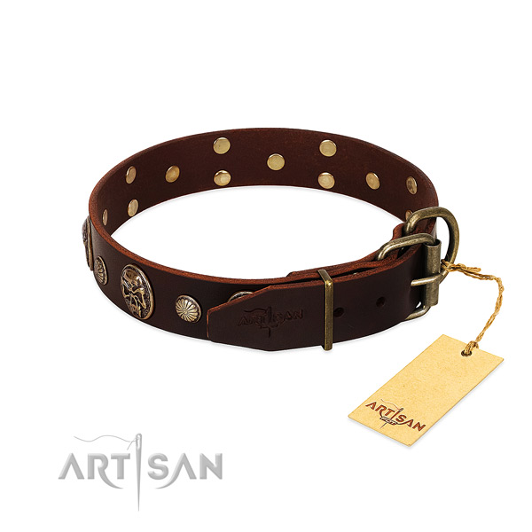 Rust resistant adornments on comfy wearing dog collar