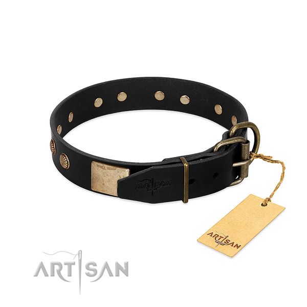 Rust-proof decorations on daily use dog collar