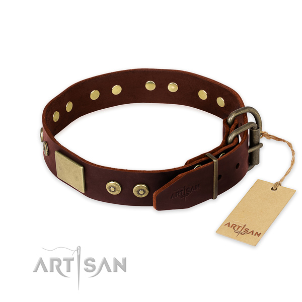 Corrosion proof adornments on everyday use dog collar