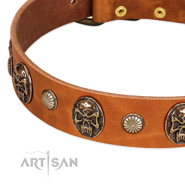 Corrosion resistant decorations on genuine leather dog collar for your canine