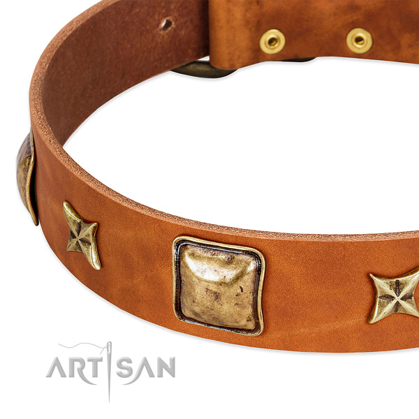 Corrosion proof adornments on full grain genuine leather dog collar for your four-legged friend