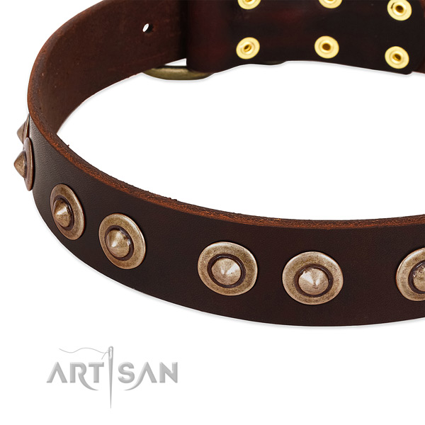 Rust-proof adornments on leather dog collar for your pet