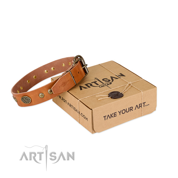Durable decorations on full grain natural leather dog collar for your doggie