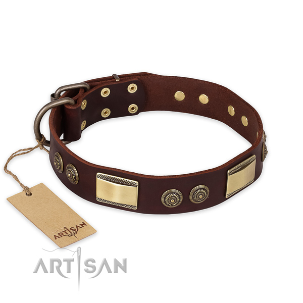 Easy to adjust full grain leather dog collar for fancy walking