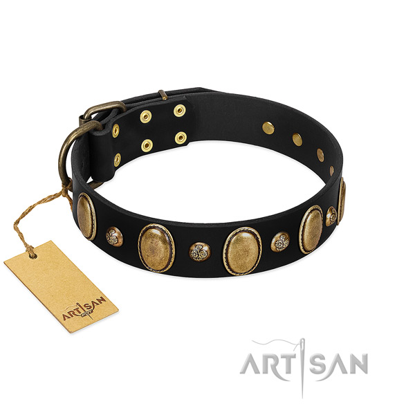 Full grain genuine leather dog collar of top notch material with fashionable adornments