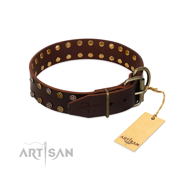 Fancy walking full grain natural leather dog collar with awesome embellishments