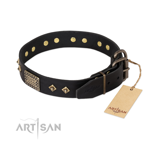 Leather dog collar with rust resistant fittings and studs