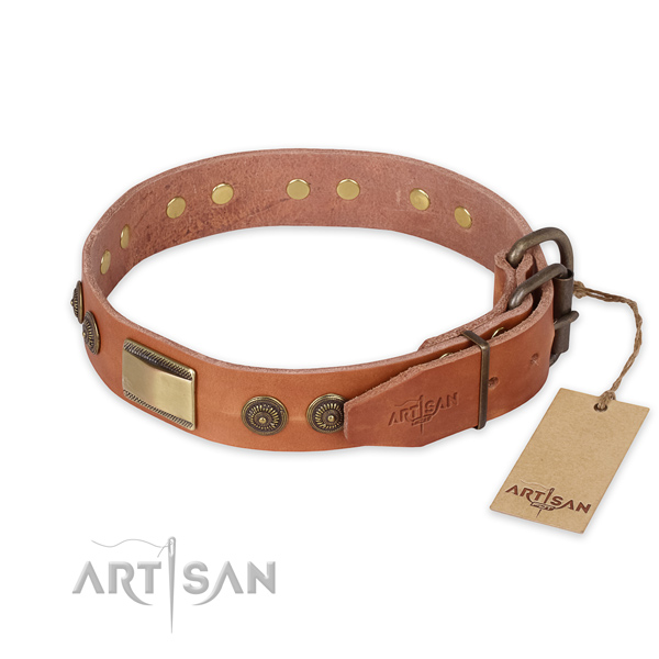 Rust resistant D-ring on full grain natural leather collar for stylish walking your pet