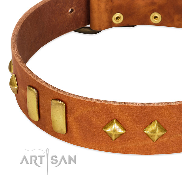 Everyday use natural leather dog collar with exquisite decorations