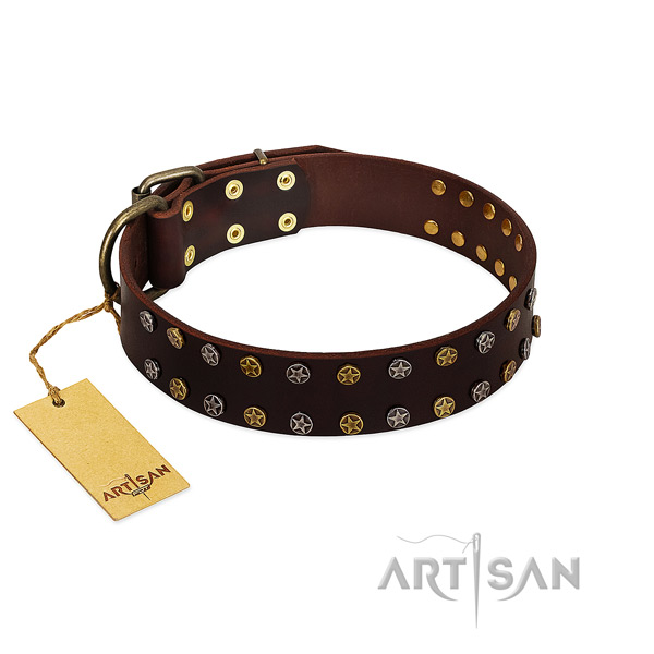 Stylish walking top rate full grain genuine leather dog collar with studs