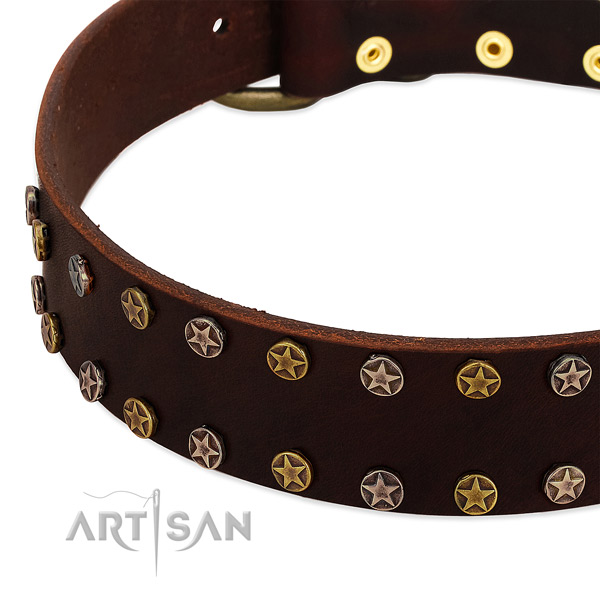Easy wearing leather dog collar with stunning embellishments
