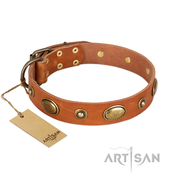 Fashionable full grain leather collar for your four-legged friend