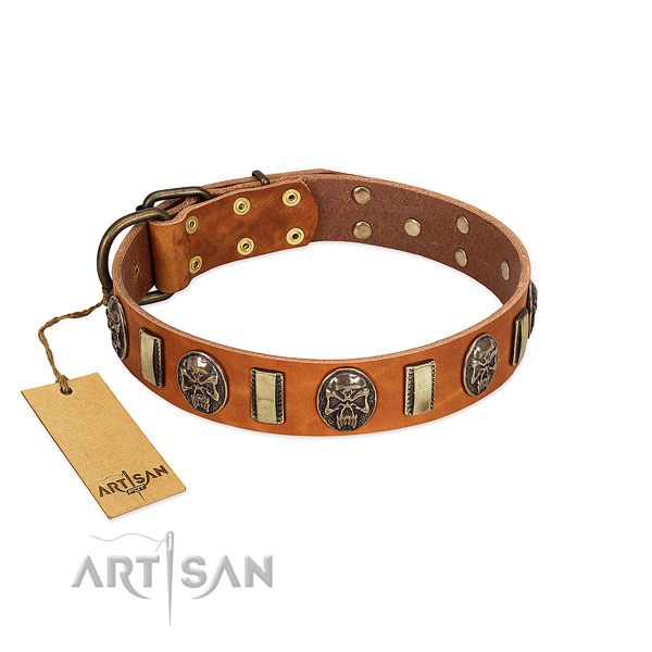 Exquisite genuine leather dog collar for fancy walking