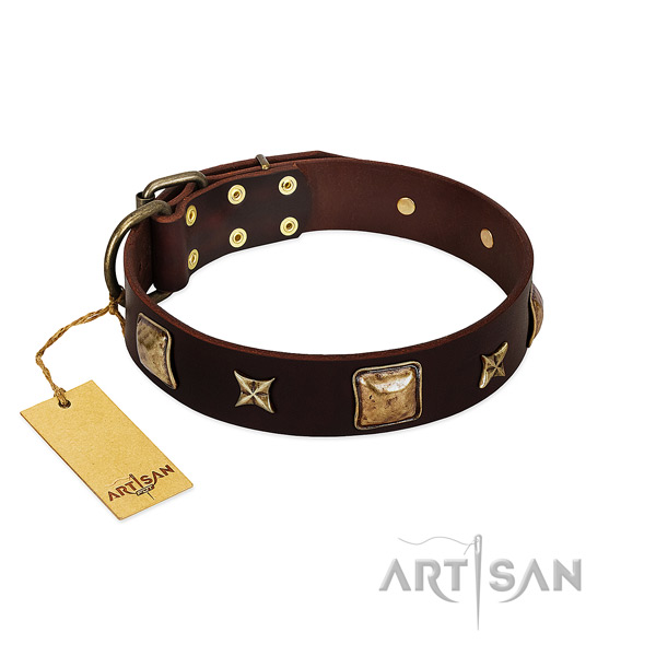 Stunning full grain genuine leather collar for your dog