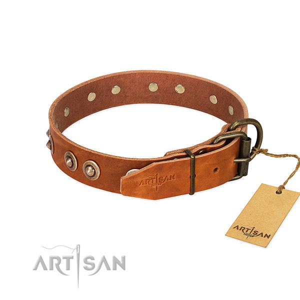 Strong fittings on leather dog collar for your pet