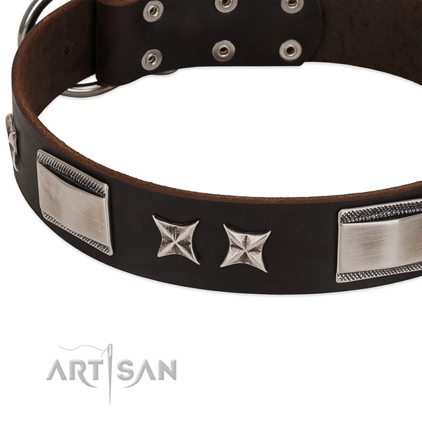 High quality full grain leather dog collar with rust-proof traditional buckle