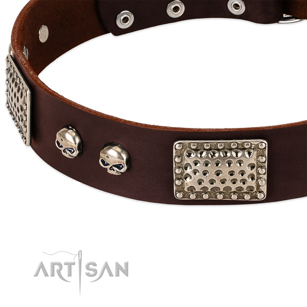 Rust-proof decorations on natural genuine leather dog collar for your four-legged friend