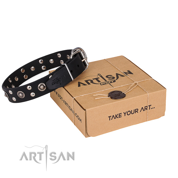 Daily walking dog collar with Awesome durable studs