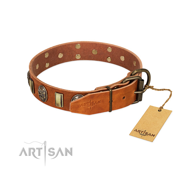 Genuine leather dog collar with reliable D-ring and embellishments