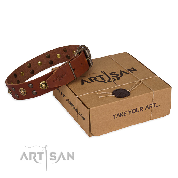 Rust-proof fittings on genuine leather collar for your beautiful canine