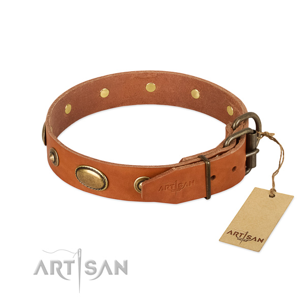 Rust resistant adornments on full grain natural leather dog collar for your doggie
