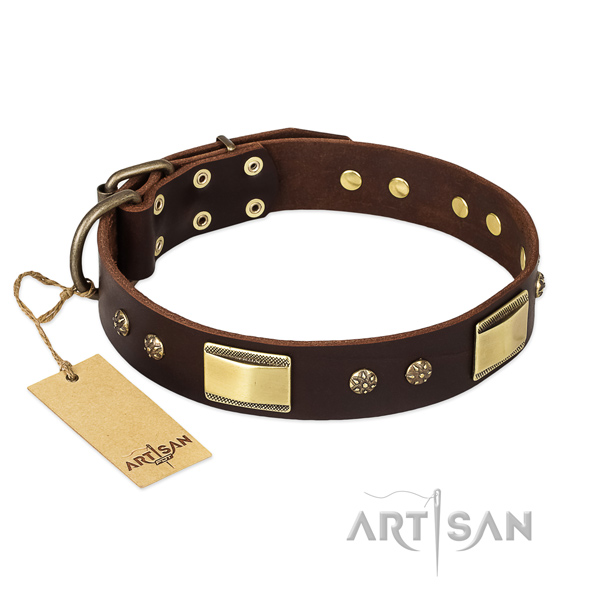 Full grain natural leather dog collar with strong traditional buckle and studs