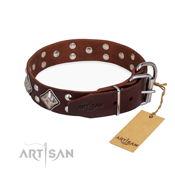 Full grain natural leather dog collar with inimitable corrosion resistant studs