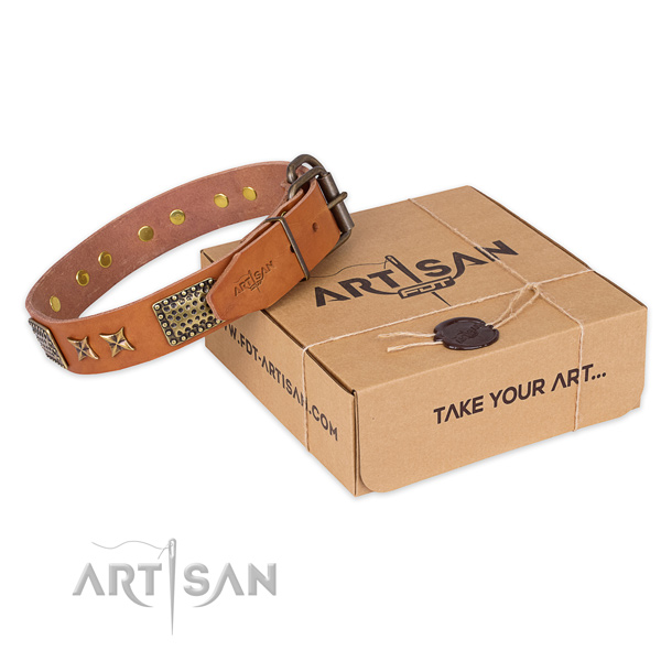 Reliable traditional buckle on full grain genuine leather collar for your lovely dog