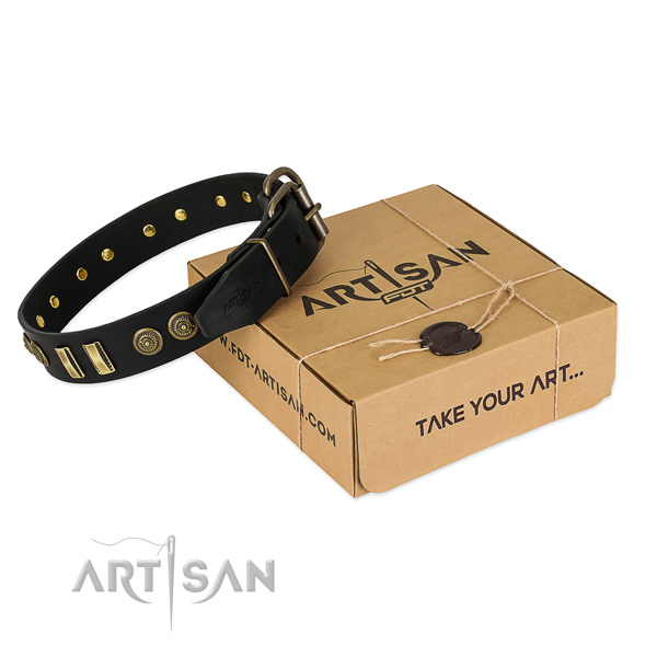 Rust-proof decorations on leather dog collar for your pet