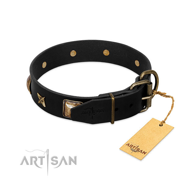Corrosion proof fittings on full grain leather collar for stylish walking your canine