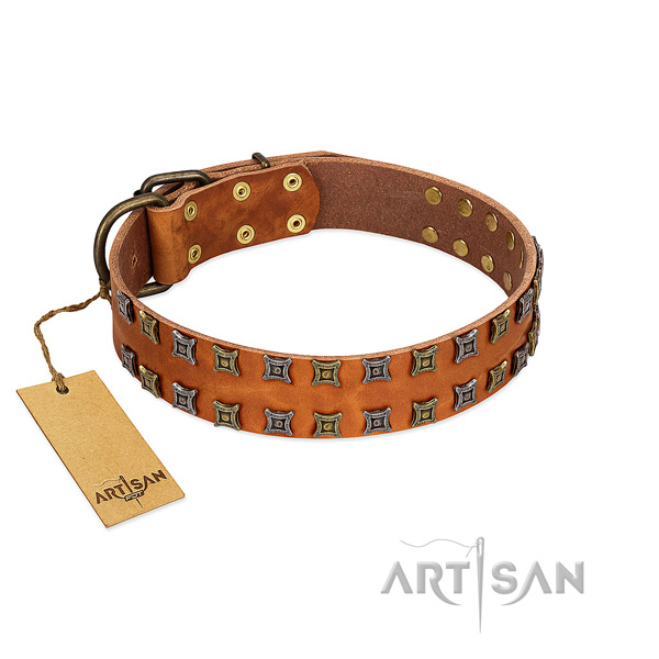 Flexible natural leather dog collar with embellishments for your pet
