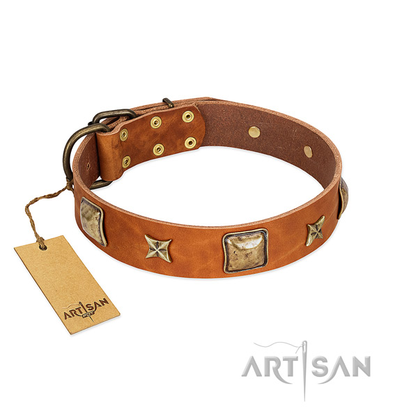 Studded genuine leather collar for your dog